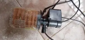 Fish Tank with Accessories