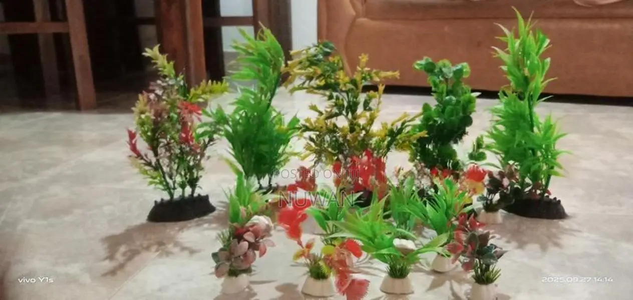 Fish Tank with Accessories