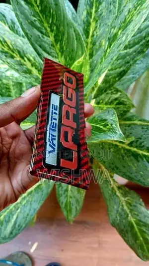 Nissan Largo sticker