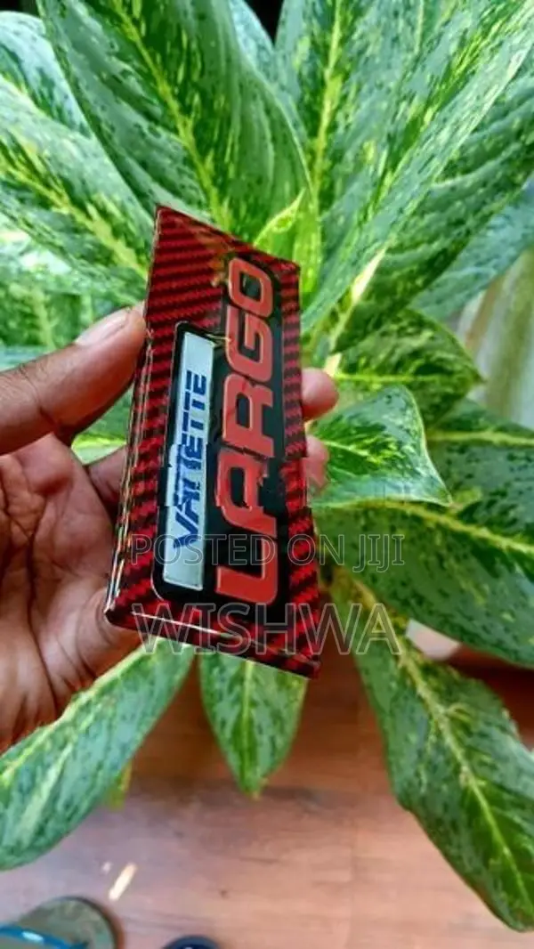 Nissan Largo sticker