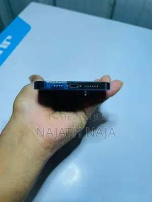 Apple iPhone 13 Pro Max (Used)