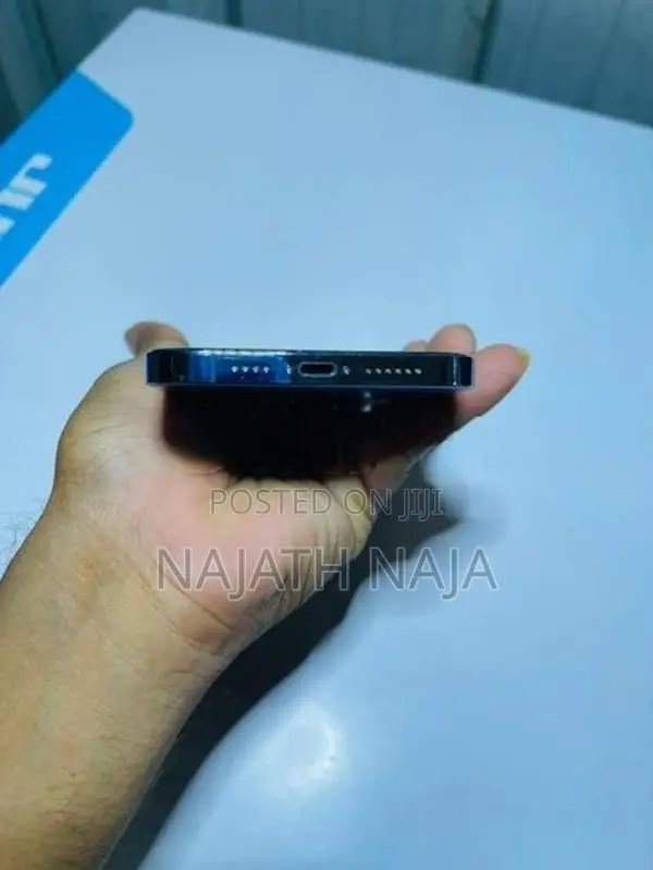 Apple iPhone 13 Pro Max (Used)