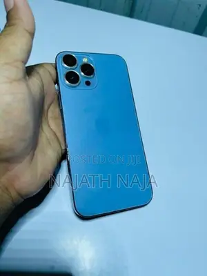Apple iPhone 13 Pro Max (Used)