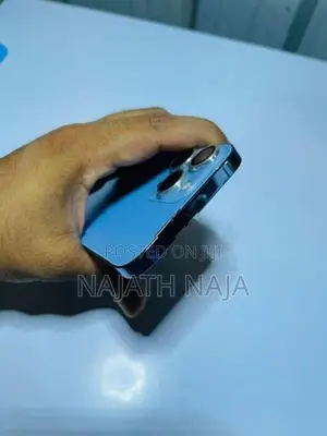 Apple iPhone 13 Pro Max (Used)