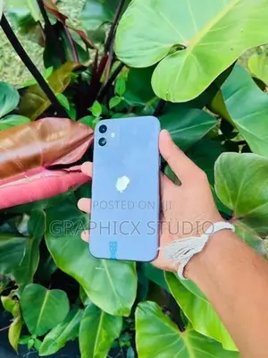Apple iPhone 11 (Used)