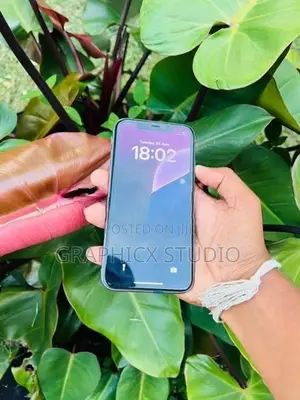 Apple iPhone 11 (Used)