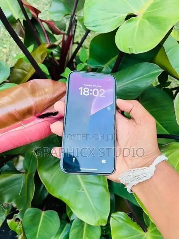 Apple iPhone 11 (Used)