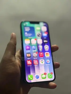 Apple iPhone 13 Pro (Used)