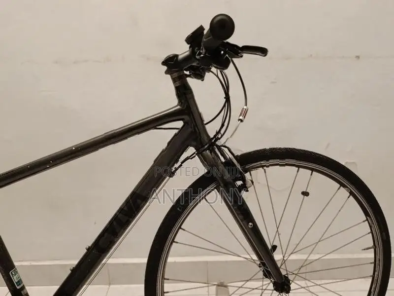 Bridgestone Cylva Japan Hybrid bicycle