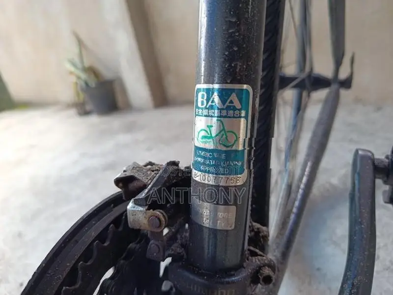 Bridgestone Cylva Japan Hybrid bicycle