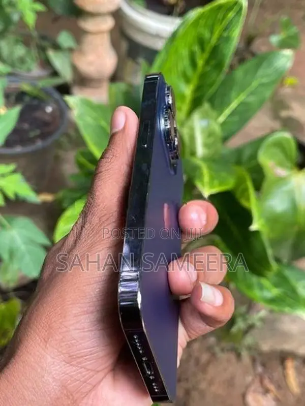 Apple iPhone 14 Pro 256GB (Used)