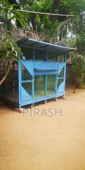 pigeon cage