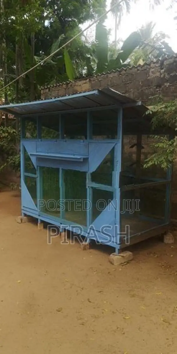 pigeon cage