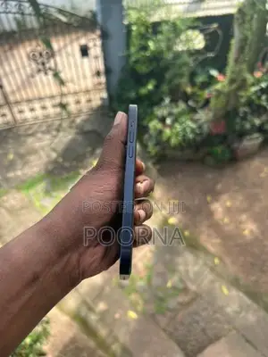 Apple iPhone 12 (Used)