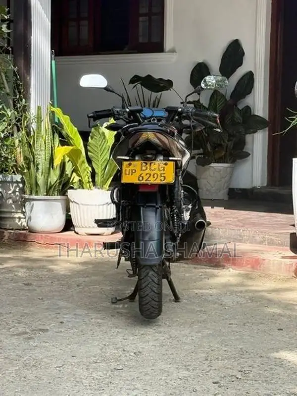 Bajaj Pulsar 135 2015