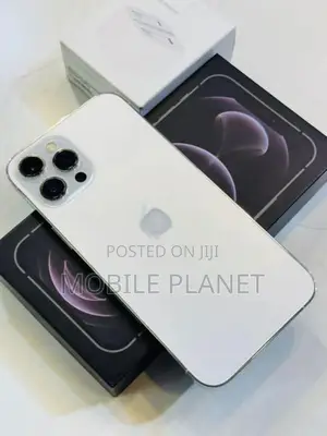 Apple iPhone 12 Pro Max 256GB (Used)