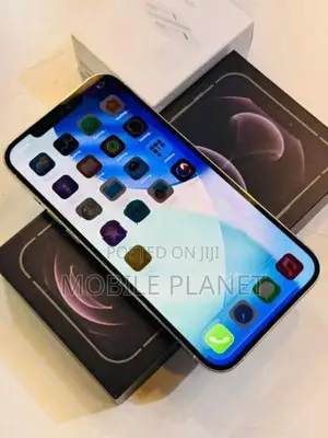 Apple iPhone 12 Pro Max 256GB (Used)