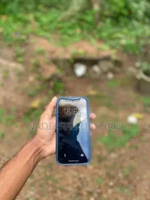 Apple iPhone 11 (Used)