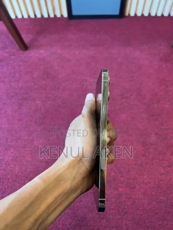 Apple iPhone 12 Pro Max (Used)