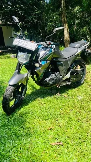 Yamaha FZ S 2017