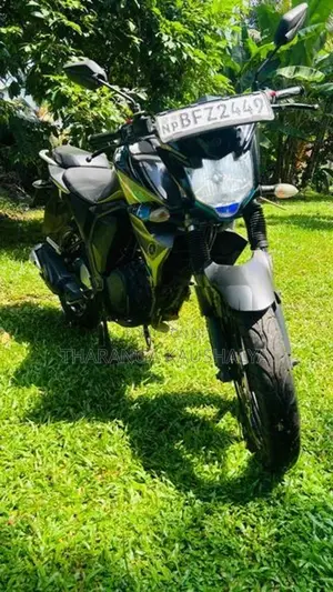 Yamaha FZ S 2017
