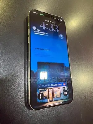 Apple iPhone 15 Pro Max (Used)