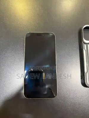 Apple iPhone 15 Pro Max (Used)