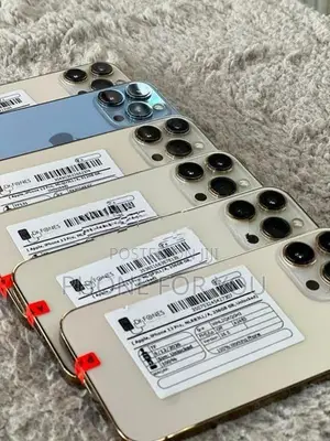 Apple iPhone 13 Pro (Used)
