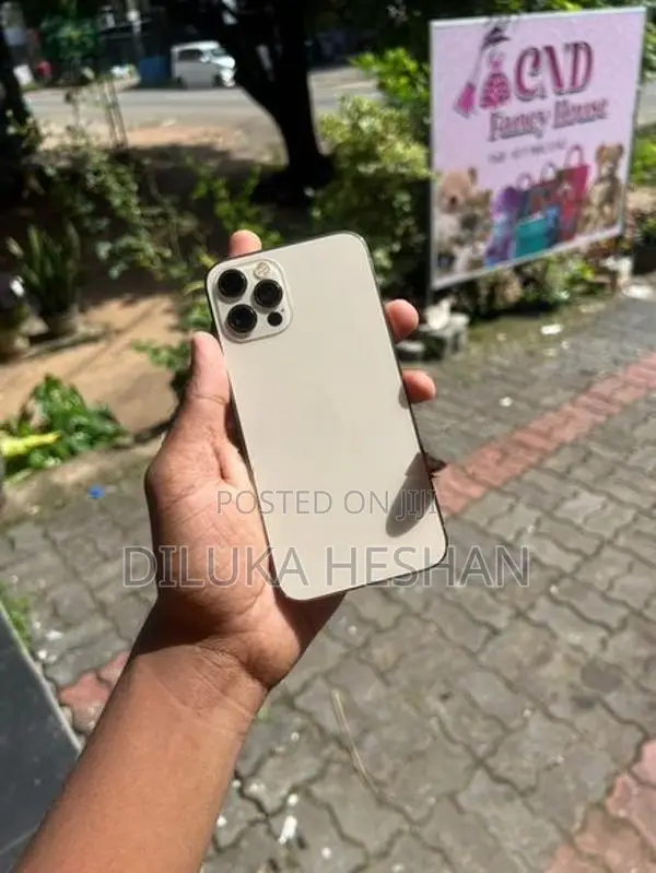 Apple iPhone 12 Pro 128 GB (Used)
