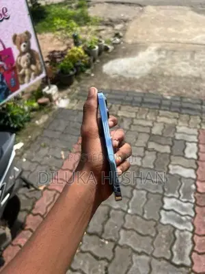 Apple iPhone 13 Pro 256 GB (Used)