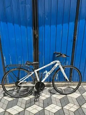 hybrid bicycle