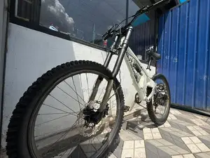 Mountain Bicycle