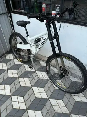 Mountain Bicycle