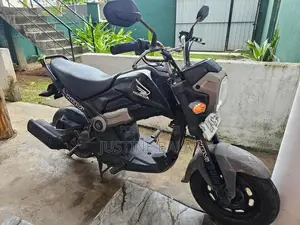 Honda Navi 2017