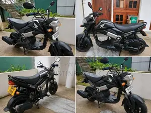 Honda Navi 2017