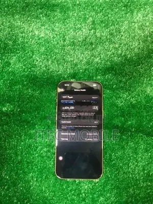 Apple iPhone 16 Pro Max (Used)