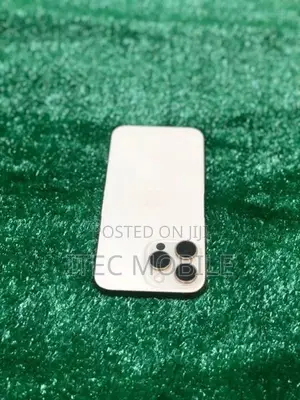 Apple iPhone 16 Pro Max (Used)