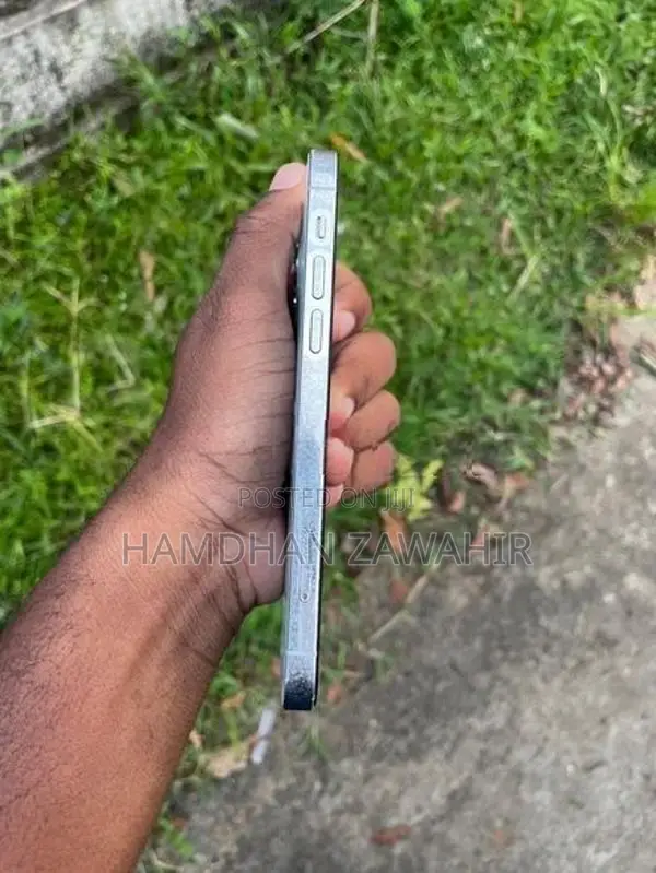 Apple iPhone 12 Pro 256GB (Used)