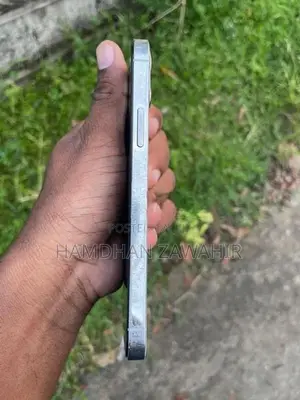 Apple iPhone 12 Pro 256GB (Used)
