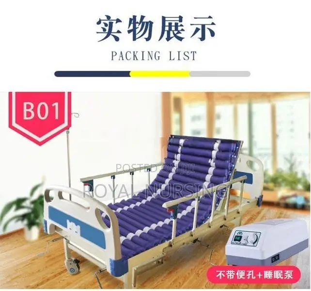 Professional Anti Bedsore Air Mattress with Decubitus Pump