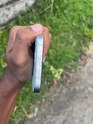 Apple iPhone 12 Pro 256GB (Used)