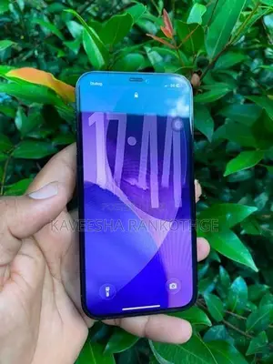 Apple iPhone 12 Pro (Used)