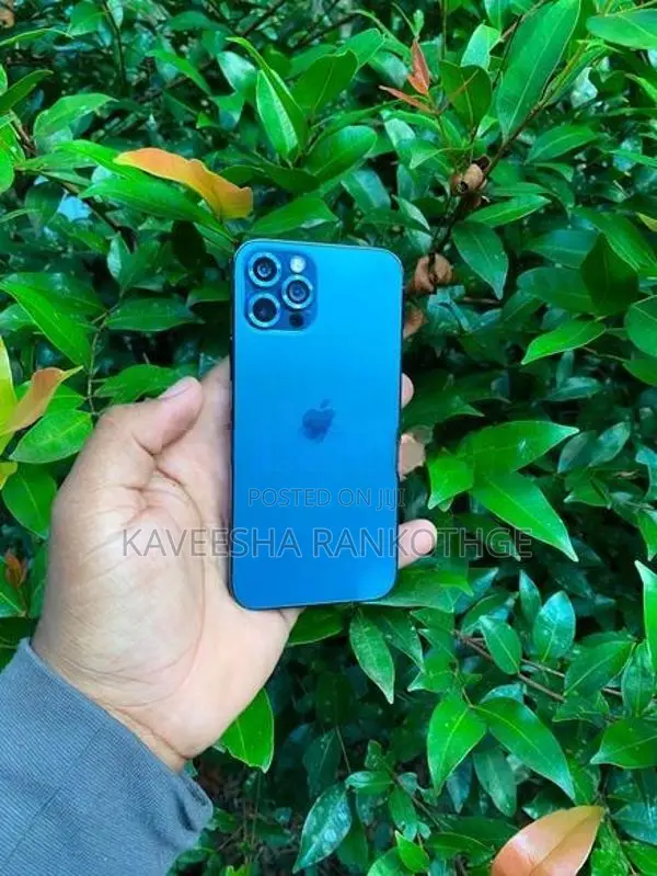 Apple iPhone 12 Pro (Used)