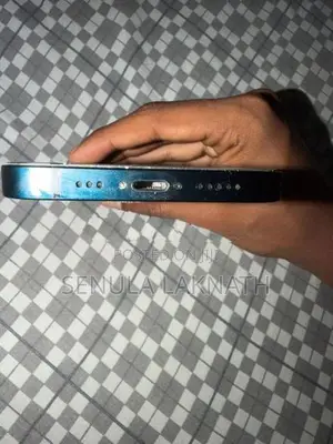 Apple iPhone 13 Ip (Used)