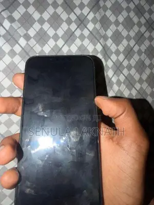 Apple iPhone 13 Ip (Used)