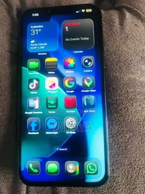 Apple iPhone 13 Pro Max 256GB (Used)