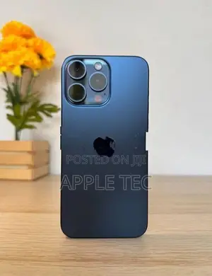 Apple iPhone 15 Pro Max 256GB (Used)
