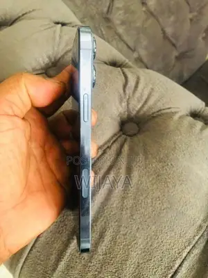 Apple iPhone 13 Pro Max 256GB (Used)