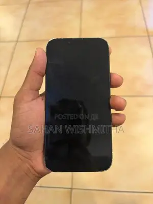 Apple iPhone 13 (Used)