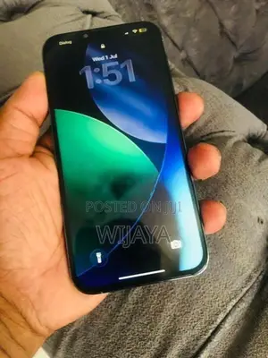 Apple iPhone 13 Pro Max 256GB (Used)